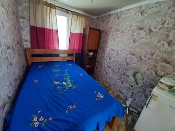 Фото номера Двухместный номер эконом-класса с 1 кроватью Гостевой дом Алые розы г. Кирилловка 5